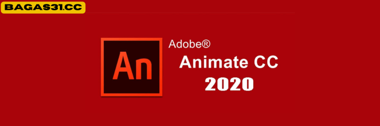 Adobe Animate CC 2020