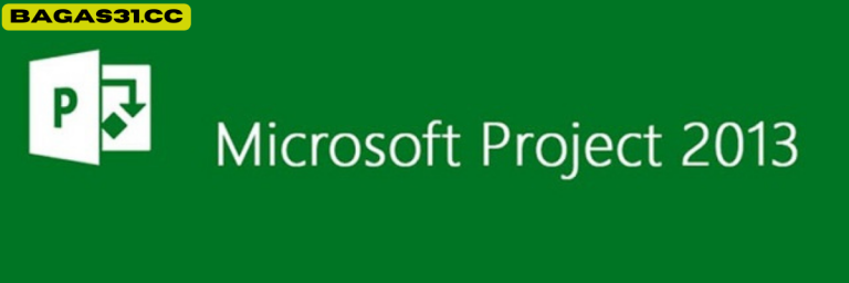 Microsoft Project 2013